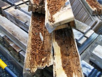 白アリ被害を受けた木材